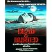 �]���Q���A [DVD]