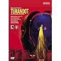 �v�b�`�[�j:�̌��s�g�D�[�����h�b�g�t�U���c�u���O���y��2002�N [DVD]
