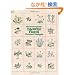 Danish Floral Charted Designs (Dover Embroidery, Needlepoint)