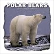 Polar Bears 2004 Calendar