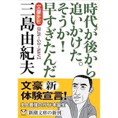 �����i�r �O���R�I�v (�V������)