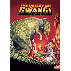 �����O�����W ���ʔ� [DVD]