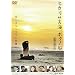 �q�J���T�X�C�A�{�N�m�D [DVD]