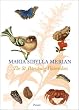 Maria Sibylla Merian: The St. Petersburg Watercolours