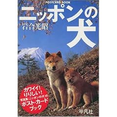 �j�b�|���̌� (POSTCARD BOOK)