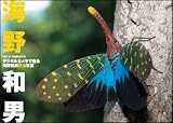 �f�W�^���J�����ŎB��C��a�j�����ʐ^ -wild insects-