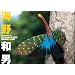 �f�W�^���J�����ŎB��C��a�j�����ʐ^ -wild insects-