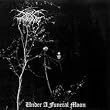 Under a Funeral Moon (Dig)