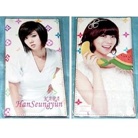 KARA�i�J���j�X�������@���琻 ���z�@1001