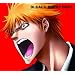 BLEACH BERRY BEST(DVD�t)