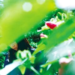 ����t�̗��l