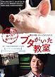 �u�^���������� (�ʏ��) [DVD]