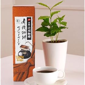 �y���̓��M�t�g�z��������ƃR�[�q�[�̖؂̃Z�b�g�y����6/13-6/16���������z