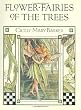 Flower Fairies of the Trees