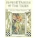 Flower Fairies of the Trees