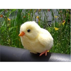 �n�[�g�E�H�[���g�C 1/1�Ђ悱