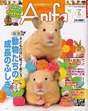 [Book] Anifa (アニファ) 2008年 06月号 [雑誌]
