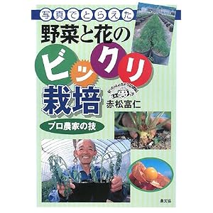 【クリックで詳細表示】写真でとらえた野菜と花のビックリ栽培―プロ農家の技 [単行本]