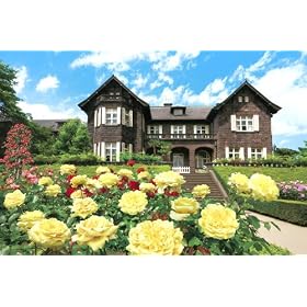 �߂����p�Y���̒B�l 1000�s�[�X ���É͒뉀-���� 10-731