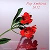 POP AMBIENT 2012