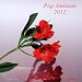POP AMBIENT 2012