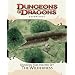 Dungeon Tiles Master Set - The Wilderness: An Essential Dungeons & Dragons Accessory (4th Edition D&D)