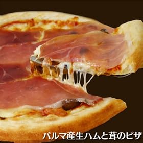 �p���}�Y���n���Ƒ��̃s�U