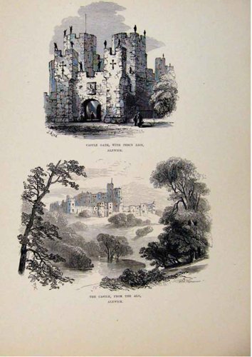  CASTLE GATE PERCY LION ALN ALNWICK OLD PRINT c1875 ART