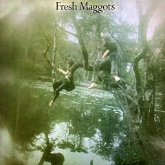 Fresh Maggots...Hatched
