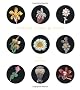 Tiffany Flora & Fauna - Two Volume Slipcased Set