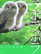 ���|���|���\�X�ɂ��ޗd�� (�������񂵂�E�ʐ^�̂��ق�)