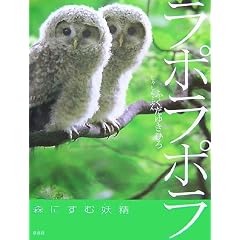 ���|���|���\�X�ɂ��ޗd�� (�������񂵂�E�ʐ^�̂��ق�)