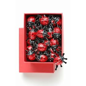 �K���̃V���{���E�Ă�Ƃ����`���R���[�g�y�I�[�K�j�b�N�P�O�O���`���R�z���M�t�gbox 250g�i5g�~50�j