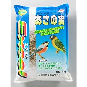 �i�`�������y�b�g�t�[�Y �G�N�Z�������̎��P����