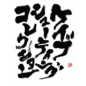 CAVE シューティングコレクション (各タイトルDLCコンテンツを収録したインストールディスク、攻略DVD7本 小冊子2冊 同梱)