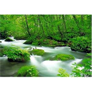 【クリックで詳細表示】1000ピース 奥入瀬 RS-13-180