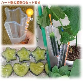 �f�R���イ �F�n�[�g3�{�Ɛ�3�{[��������][�ƒ�؉��p���イ��̌^�E�����L���E�����f�R�قɁI][���e���n�uDON!�v�Љ�i]
