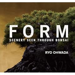 FORM: SCENERY SEEN THROUGH BONSAI
