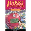 Harry Potter and the Philosopher's Stone: Harri Potter a Maen Yr Athronydd