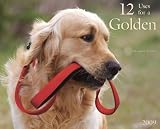 [Book] 12 Uses for a Golden 2009 Calendar