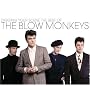 Digging Your Scene: The Best of the Blow Monkeys