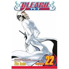 Bleach, Vol. 22 (Bleach (Graphic Novels))