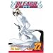 Bleach, Vol. 22 (Bleach (Graphic Novels))