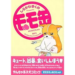 ������ (KC�f���b�N�X)