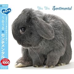 �y���N���z���邤�� �Z���`�����^��