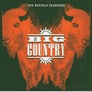 Buffalo Skinners