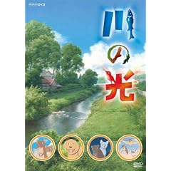 ��̌� [DVD]