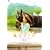 ���̃_�h�D ~���̂��̂Ђт�~ [DVD]