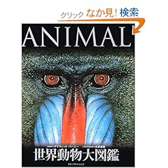 【クリックでお店のこの商品のページへ】世界動物大図鑑―ANIMAL DKブックシリーズ: デイヴィッド・バーニー, 日高 敏隆: 本