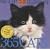 365 Cats 2009 Calendar (Color Page-A-Day(r) Calendars)